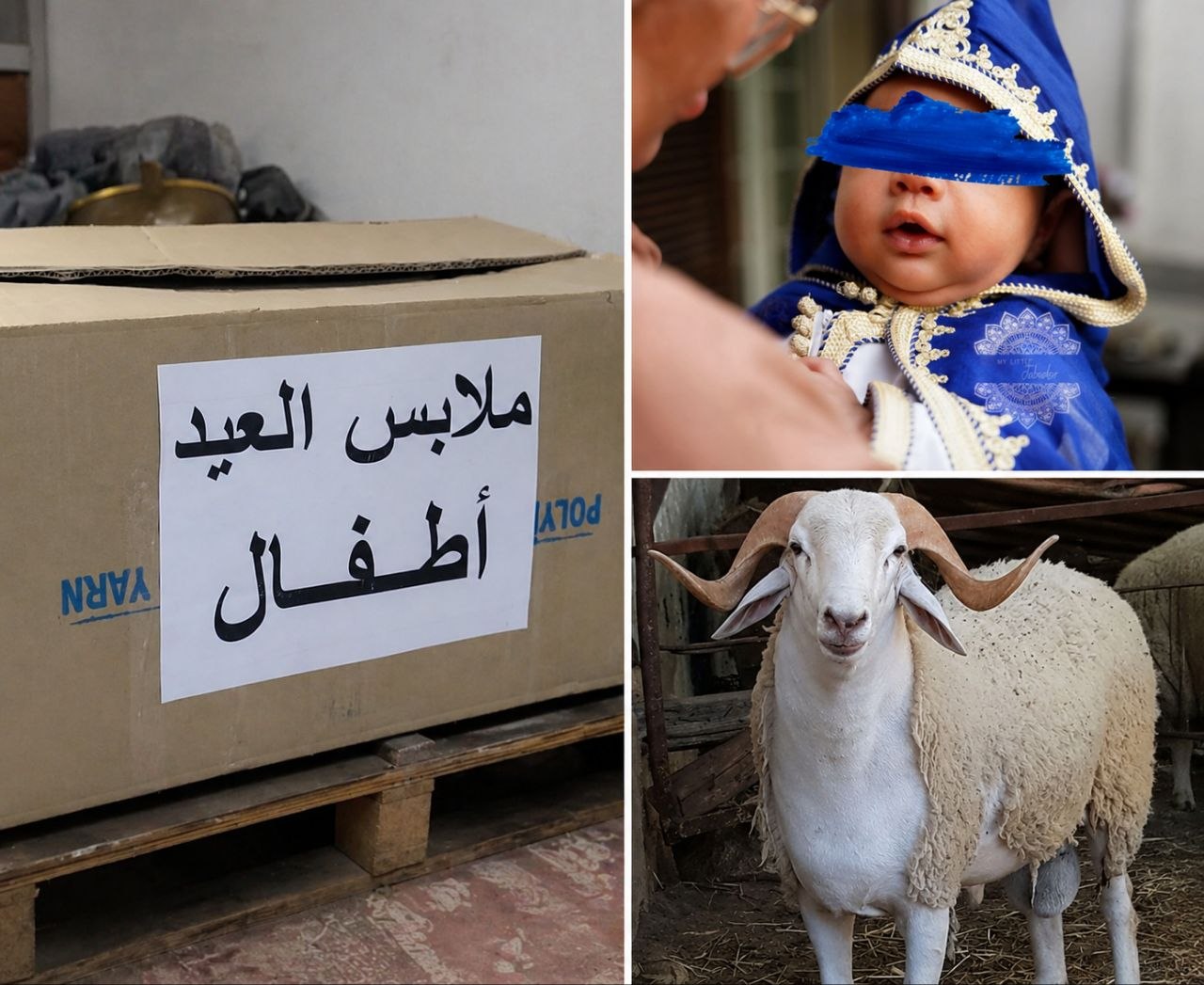 مشروع الفصل المتنقل